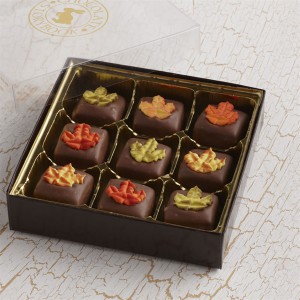Fall Chocolate Caramels