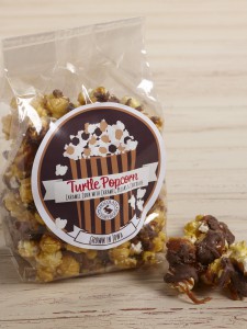 Turtle Popcorn Bag