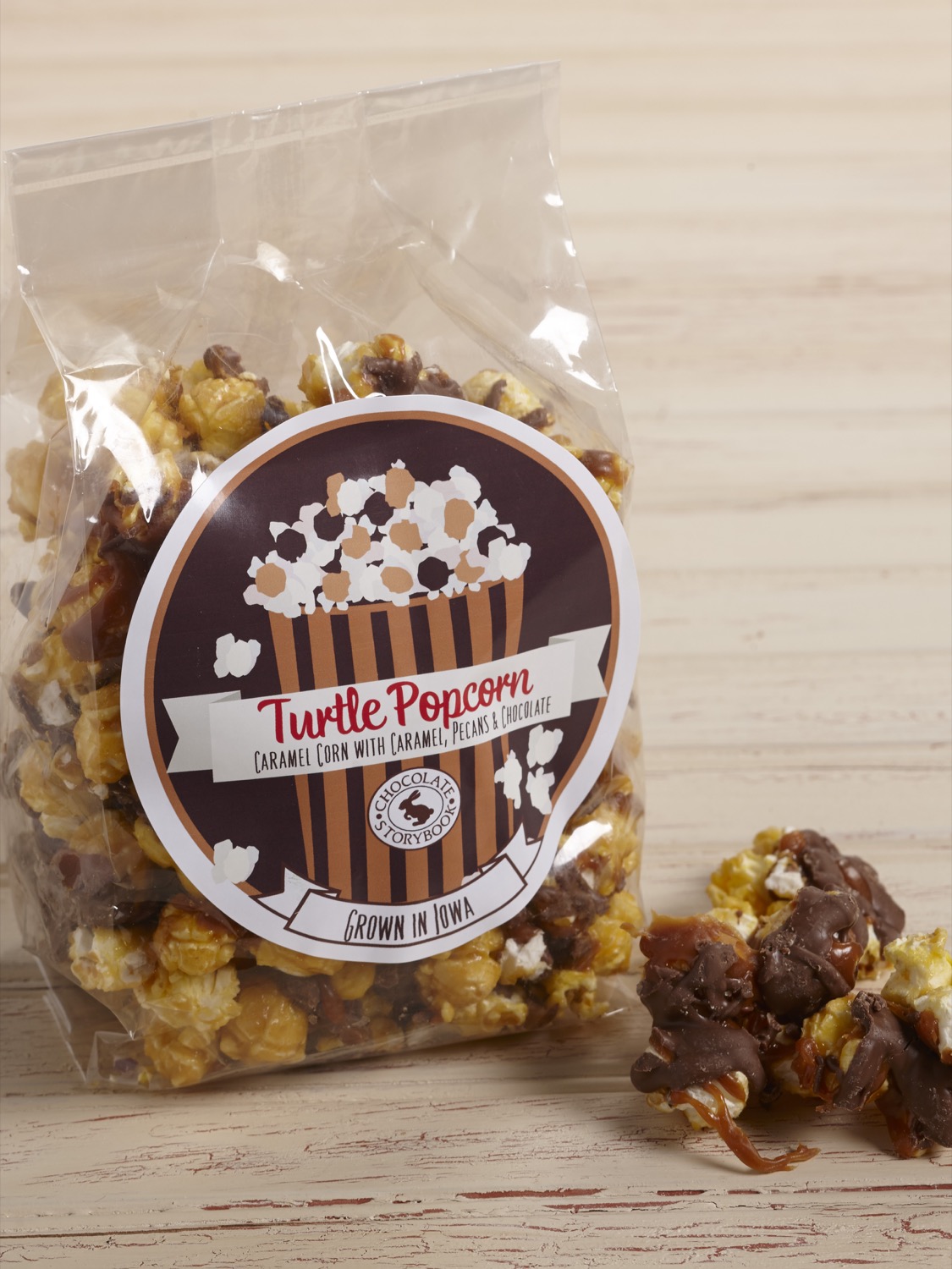 Turtle Popcorn Bag